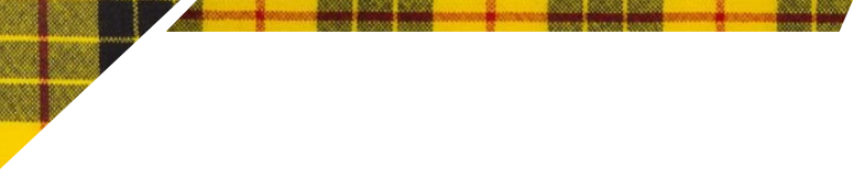 40th Fife Scouts necker