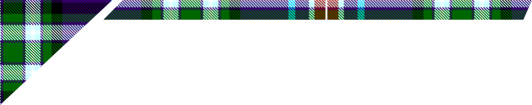 83rd Fife Scouts necker